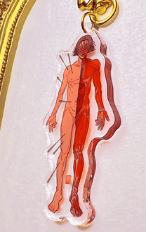 ANATOMY Acrylic Charm