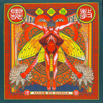 INSECTICIDE Microfiber Cleaning Cloth